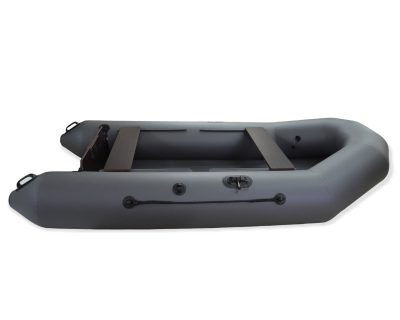 Моторная лодка Tulin-boat ДМ-310