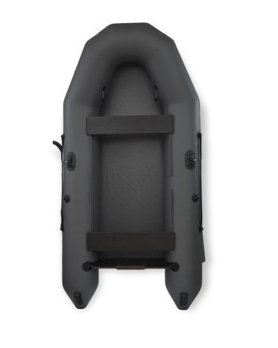 Моторная лодка Tulin-boat ДМ-310