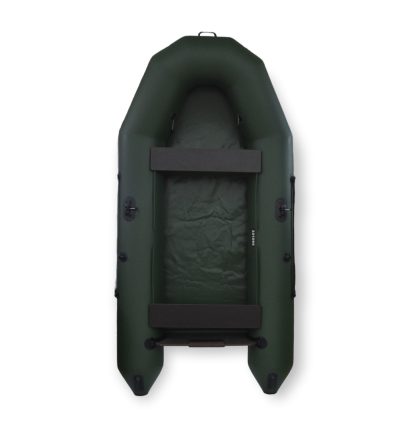Моторная лодка Tulin-boat ДМ-310