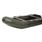 Моторная лодка Tulin-boat Д-300